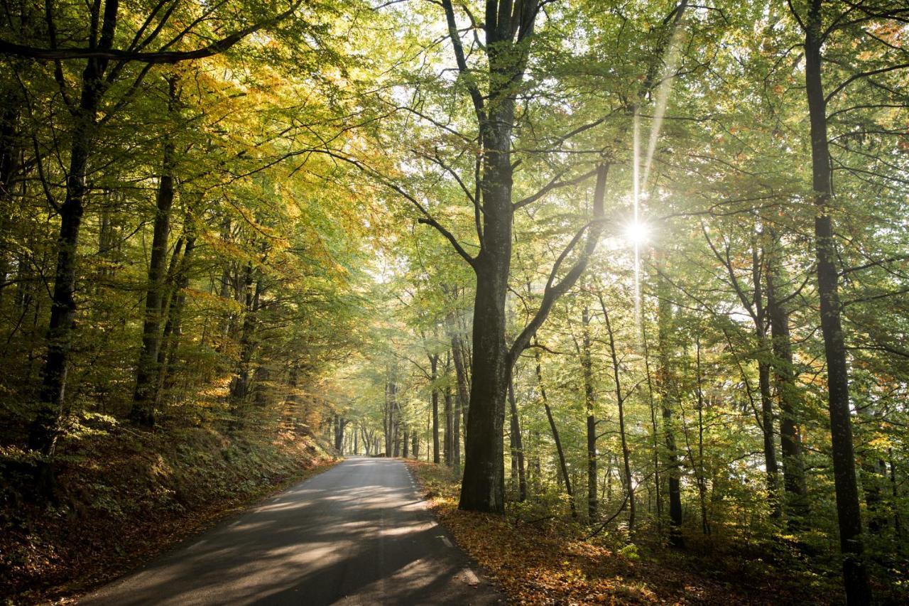 Akulla Outdoor Resort Rolfstorp Zewnętrze zdjęcie